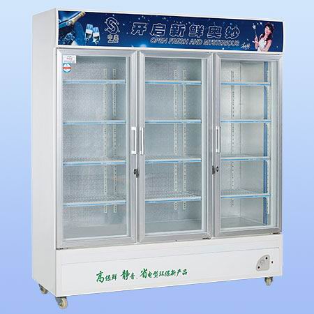 大三門(mén)展示柜